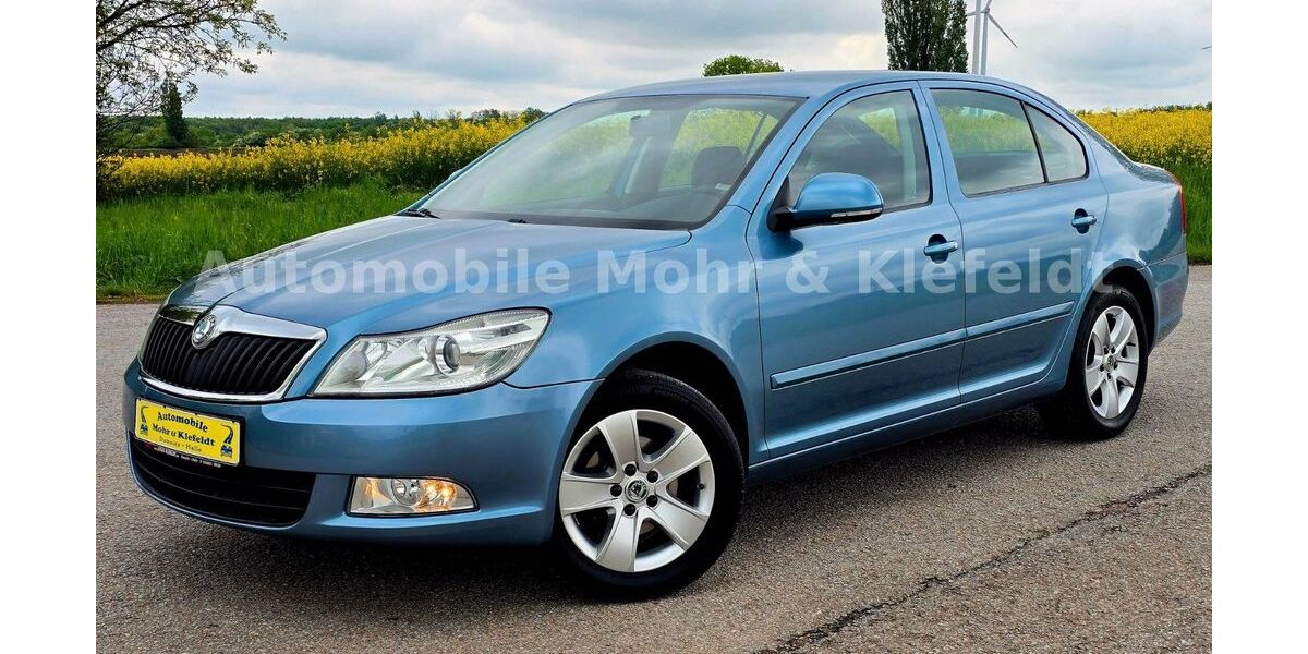 Skoda Octavia 117.000 km 5.999 &euro; Halle-Neustadt 06124