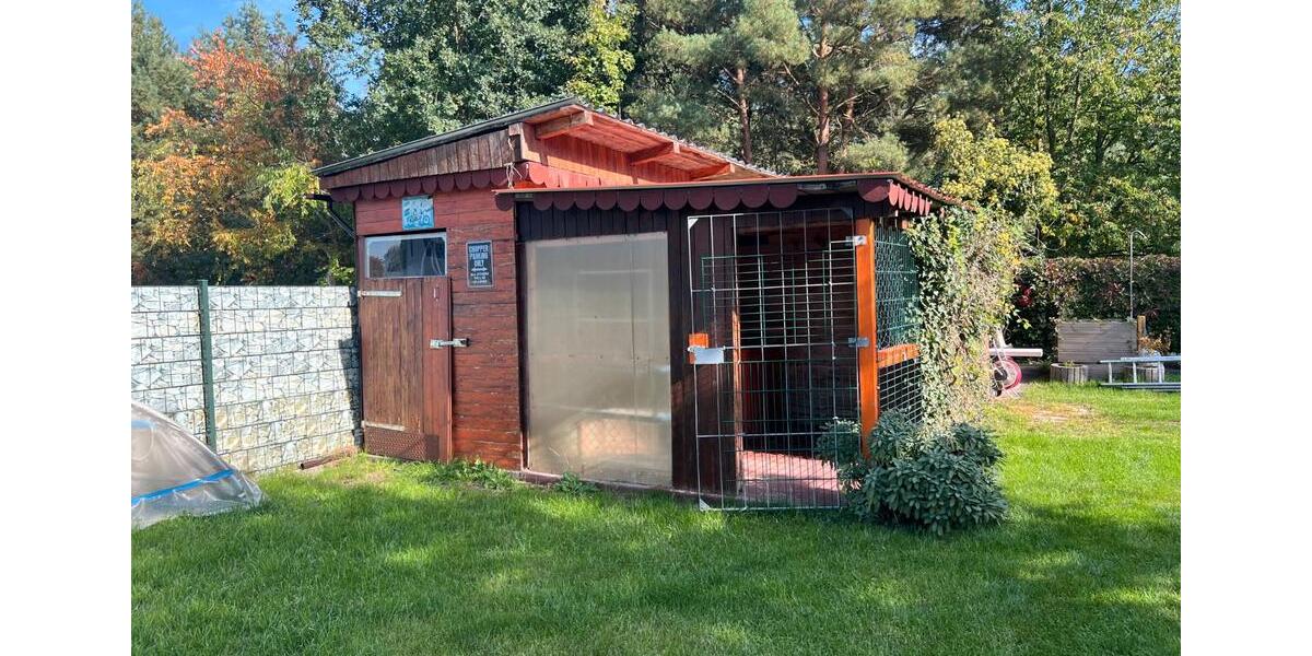 Einfamilienhaus Bernau bei Berlin - 7 Zimmer, 180 m&sup2;, 550.000&euro; | Angebot:26933007