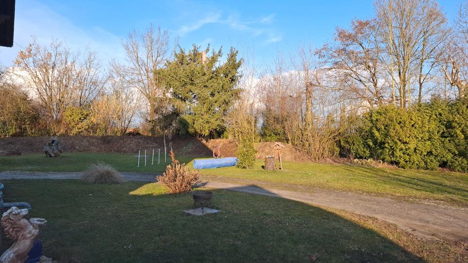 Einfamilienhaus Bogen - 569.000&euro; | Angebot:26765964