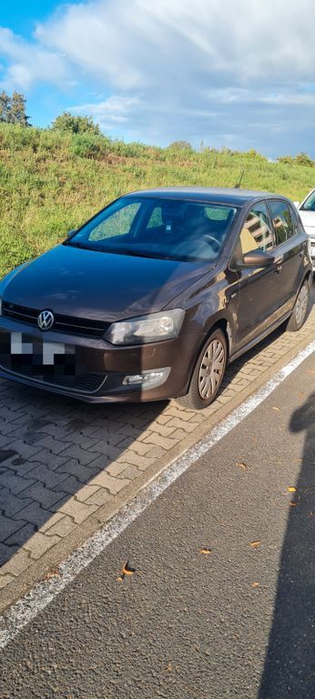 Polo