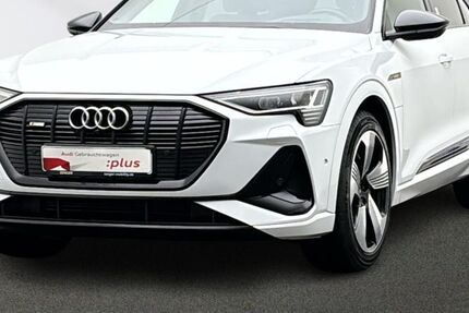 Audi e-tron 80.902 km 36.880 &euro; Lingen 49809
