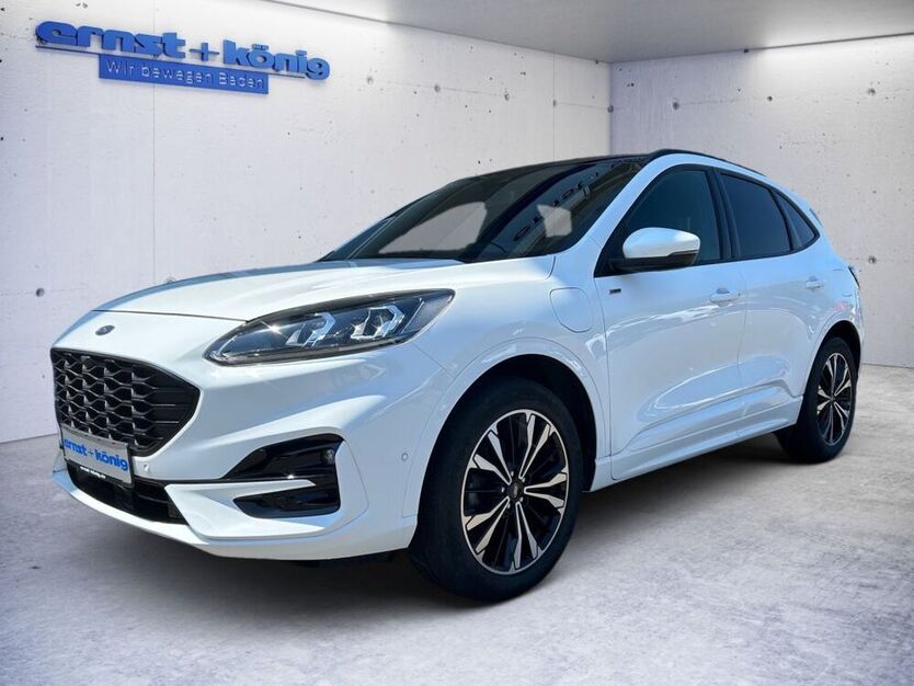 Kuga