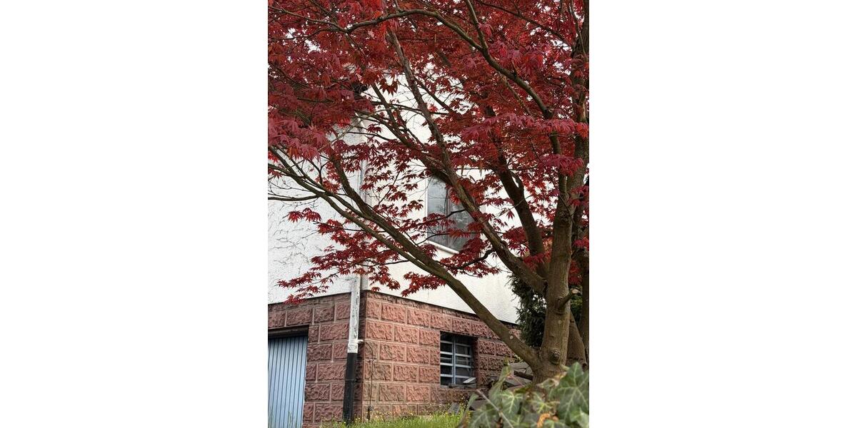 Etagenwohnung Marburg Cappel - 5 Zimmer, 150 m&sup2;, 480&euro; | Angebot:26299967