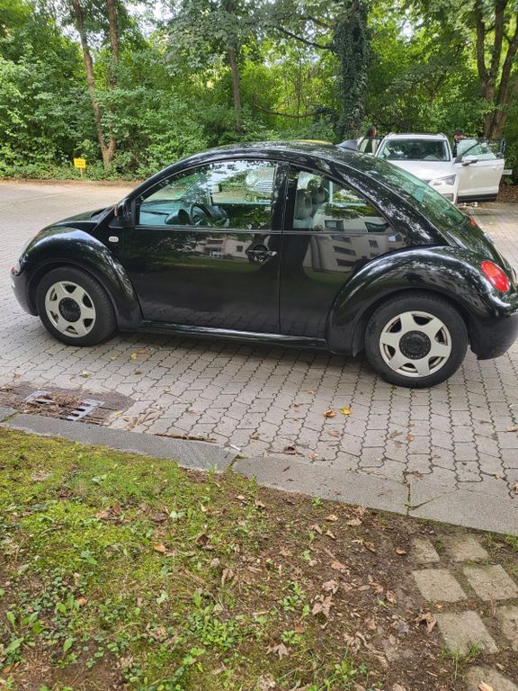 Beetle