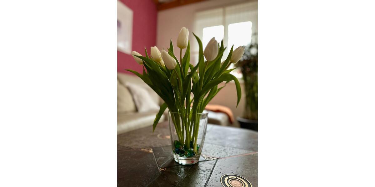 Maisonettenwohnung Cottbus Brunschwig - 4 Zimmer, 108 m&sup2;, 366.000&euro; | Angebot:25162884