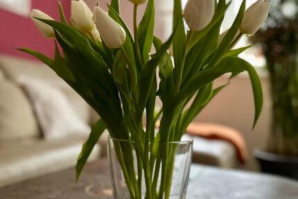 Wohnung Cottbus Brunschwig - 4 Zimmer, 108 m&sup2;, 366.000&euro; | Angebot:25162884