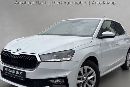 Skoda Fabia 46.400 km 17.690 &euro; Heidelberg 69123