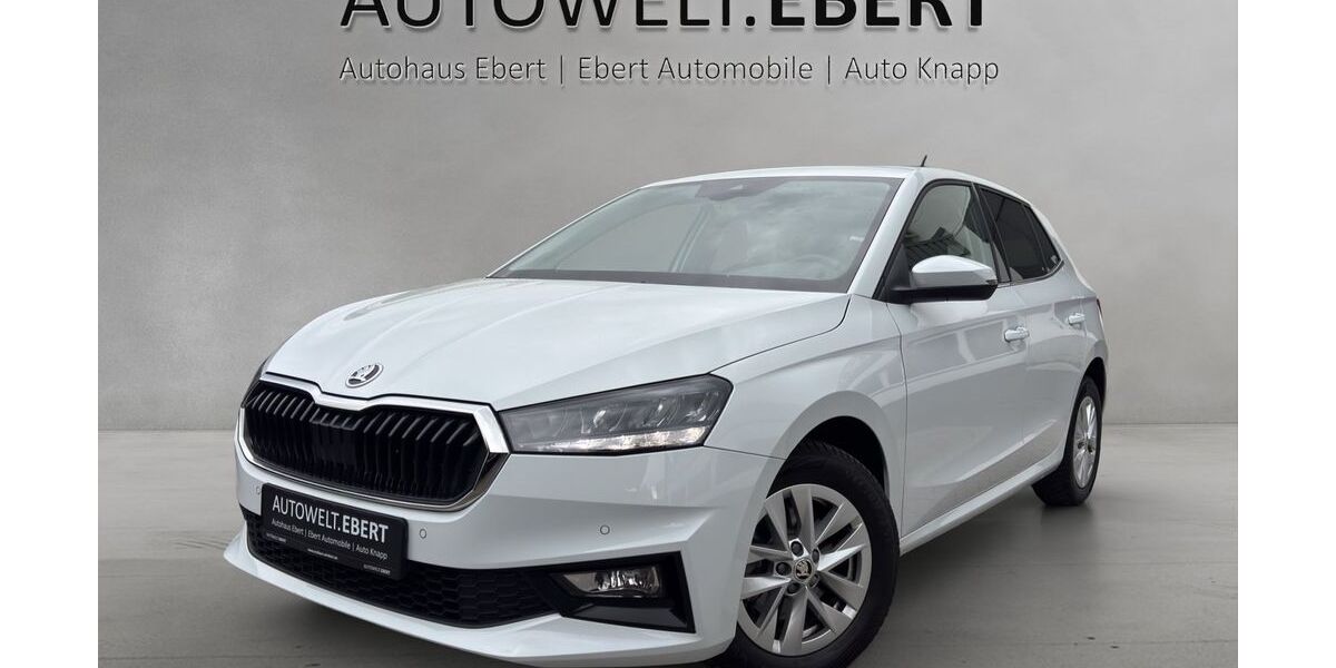 Skoda Fabia 46.400 km 17.690 &euro; Heidelberg 69123
