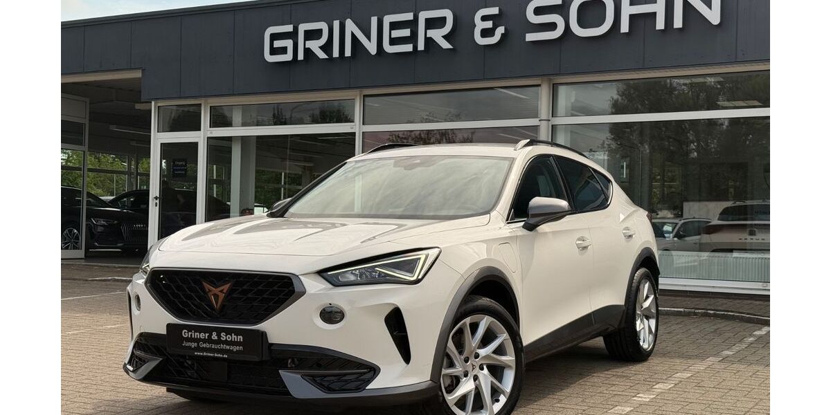 Cupra Formentor 22.325 km 22.449 &euro; Lemwerder 27809