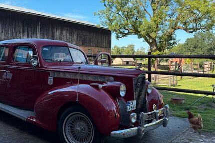 Packard Andere 67.000 km 24.120 € Henstedt-Ulzburg 24558
