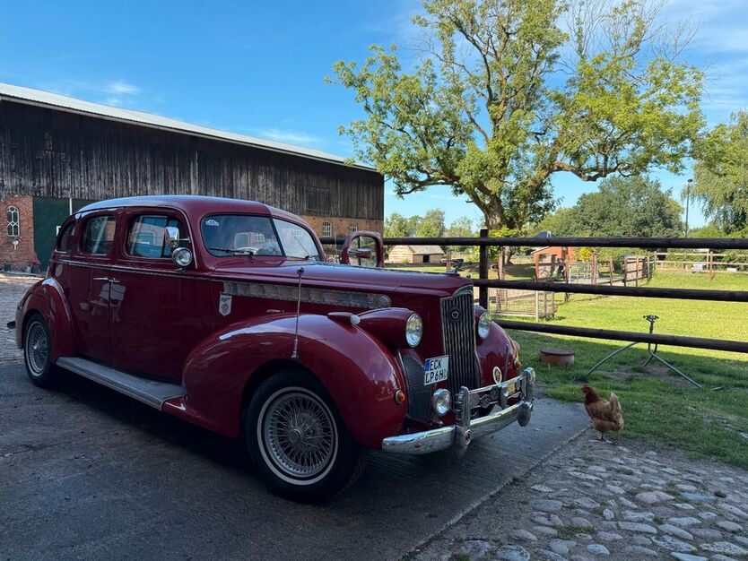 Packard Andere 67.000 km 24.120 € Henstedt-Ulzburg 24558