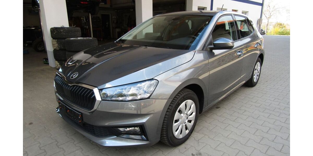 Skoda Fabia 57.000 km 16.700 &euro; Brunnen 86564