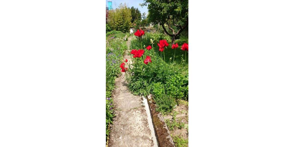 hausvermietung 4 zimmer