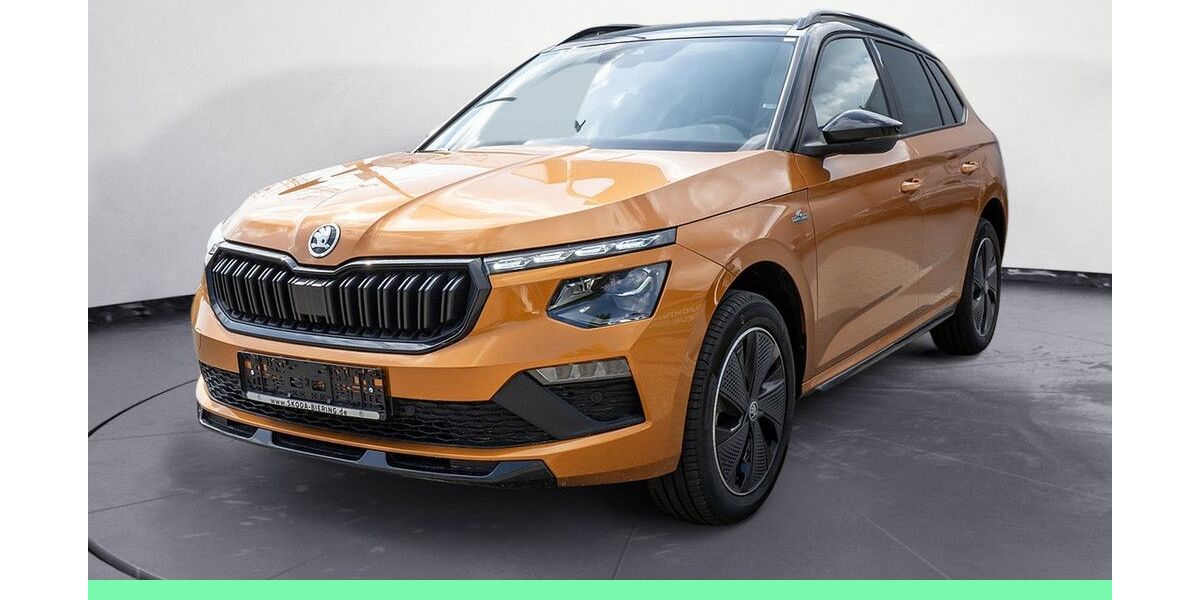 Skoda Kamiq 5.100 km 26.500 &euro; Schwielowsee OT Geltow 14548