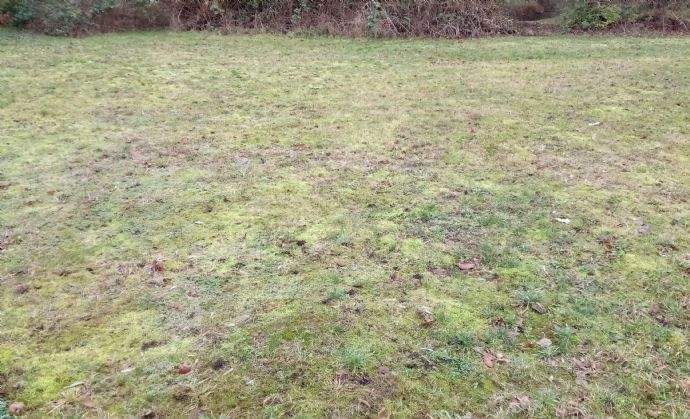 Grundstück Lage Waddenhausen - 115.000&euro; | Angebot:24688438