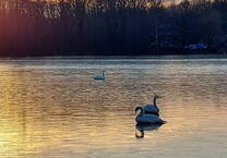 Exklusives Grundstück mit unverbaubarem Wasserblick an der Havel in Westausrichtung mit Stegoption