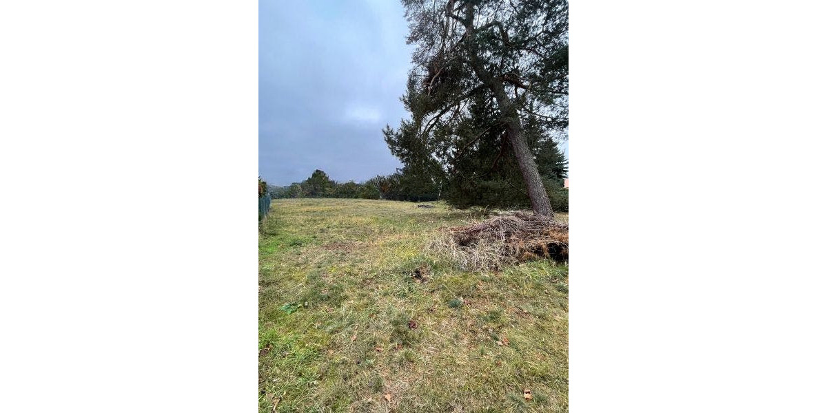 Sofort bebaubares großzügiges Baugrundstück im schönen Borgsdorf zimmer