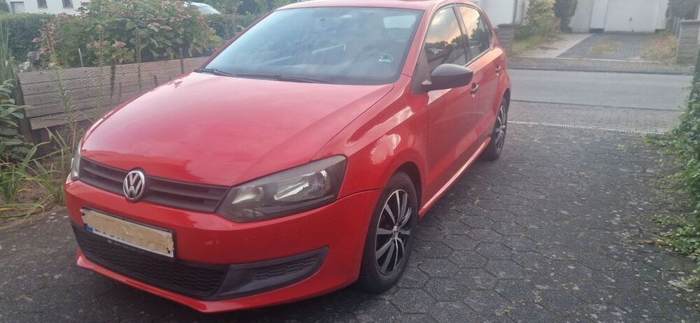 Polo