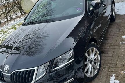 Skoda Octavia 173.000 km 14.000 &euro; Südermarsch 25813