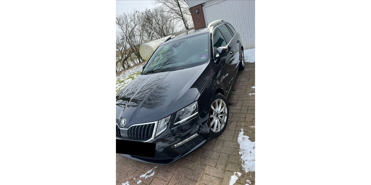 Skoda Octavia 173.000 km 14.000 &euro; Südermarsch 25813