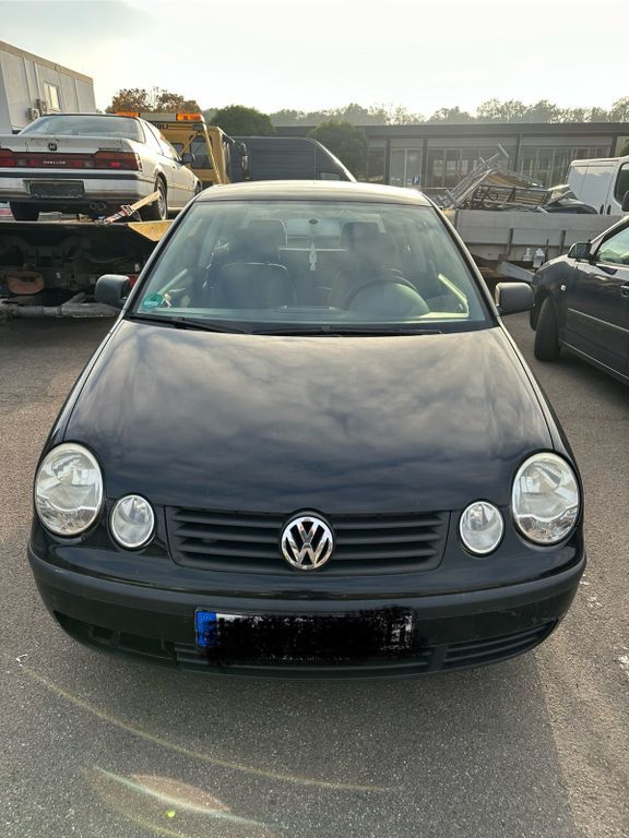 Polo