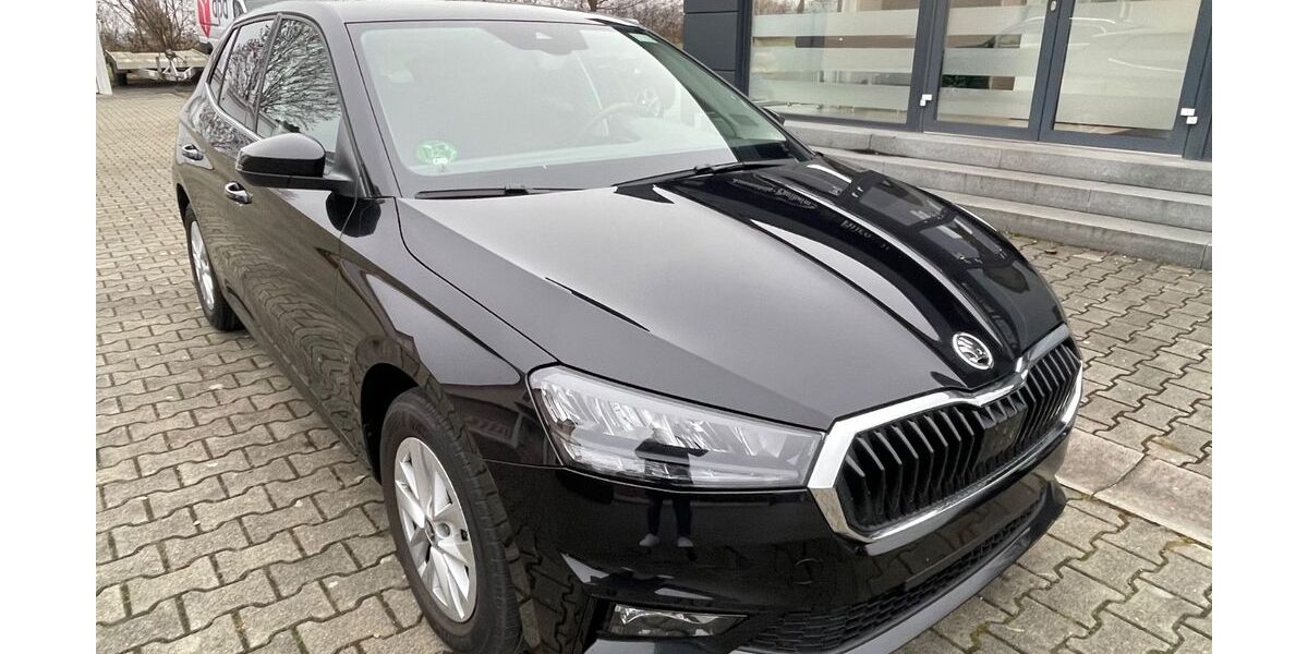 Skoda Fabia 19.603 km 18.690 &euro; Kammeltal/Egenhofen 89358