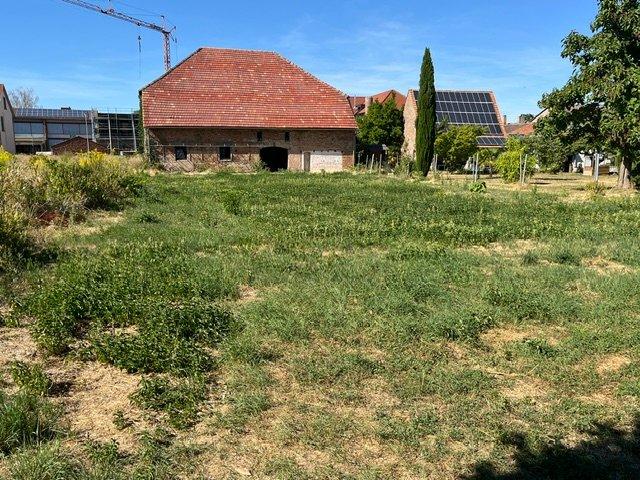 Bauernhaus, Landhaus Großfischlingen - 16 Zimmer, 255 m&sup2;, 650.000&euro; | Angebot:27201251