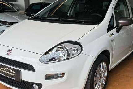 Fiat Punto 84.220 km 7.490 € Bad Duerkheim 67098