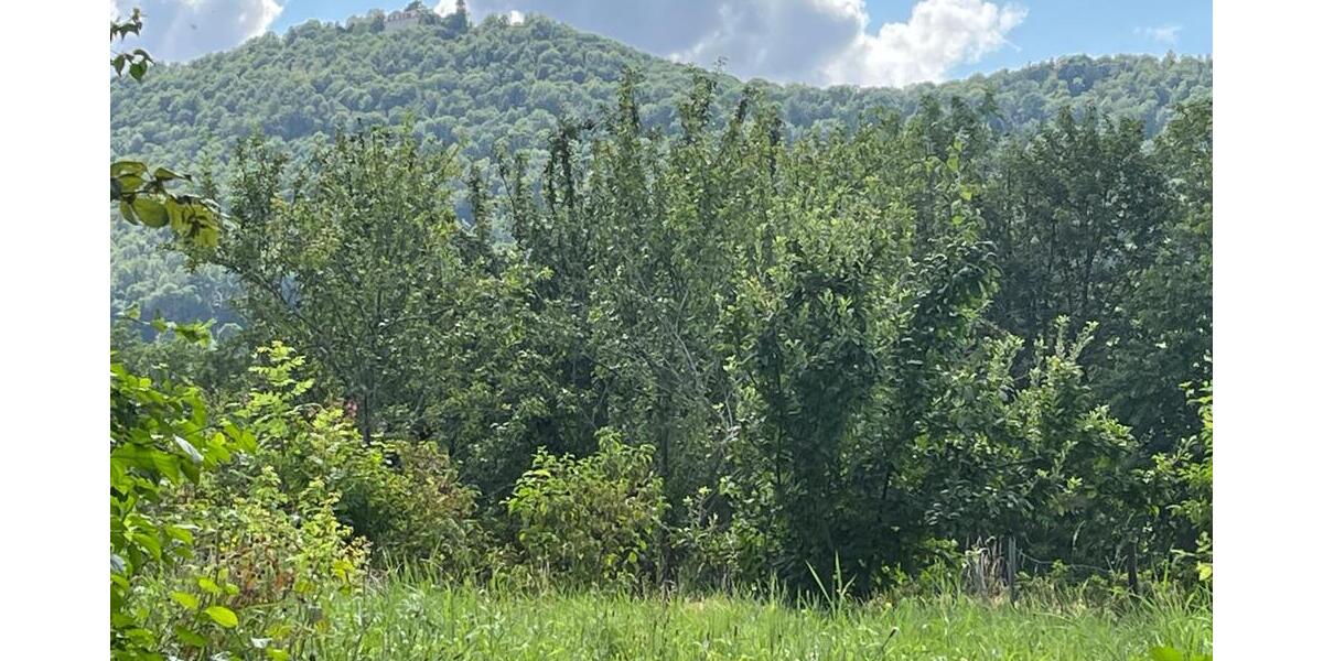 Grundstück Bissingen an der Teck Bissingen - 345.000&euro; | Angebot:24505056