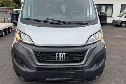 Fiat Ducato 65.000 km 31.900 € Girod bei Montabaur 56412