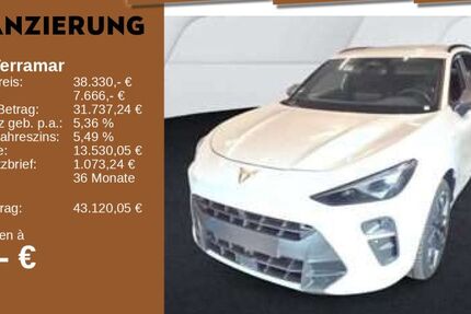 Cupra Terramar 1.489 km 38.330 &euro; Neu-Ulm 89231