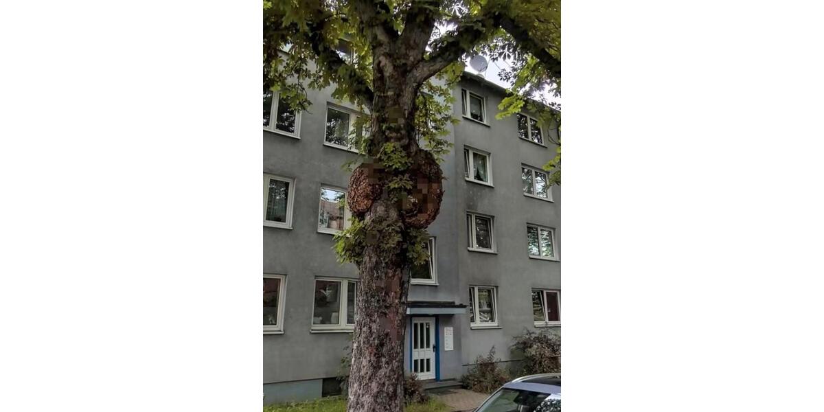 Etagenwohnung Kassel Philippinenhof-Warteberg - 3 Zimmer, 61 m&sup2;, 189.000&euro; | Angebot:26427503