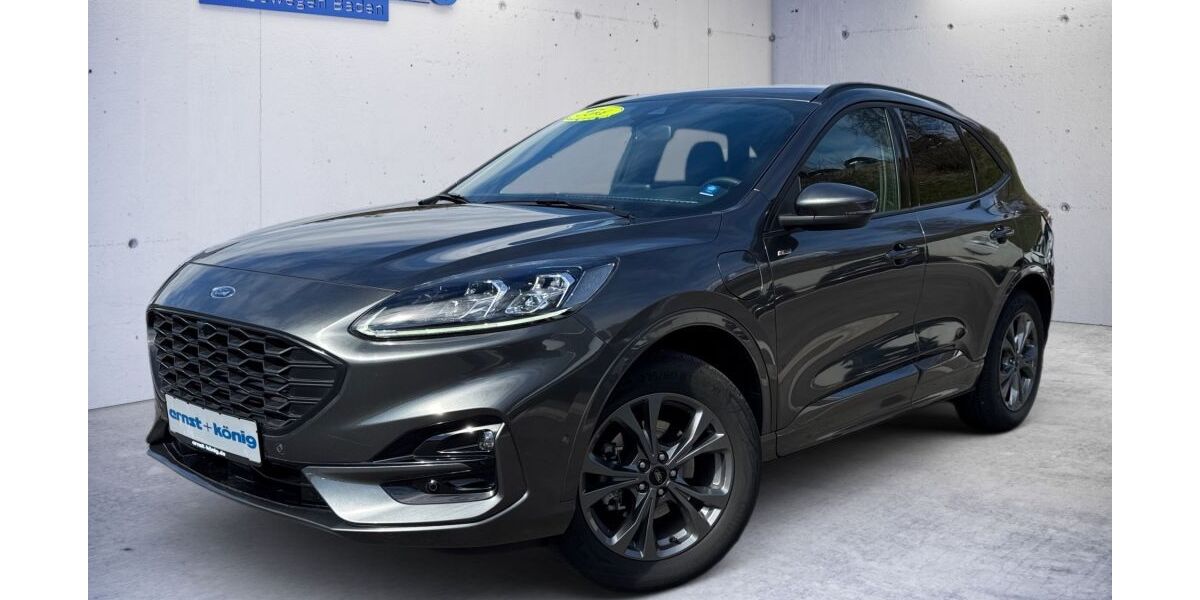 Ford Kuga 22.115 km 33.770 &euro; Waldshut-Tiengen 79761