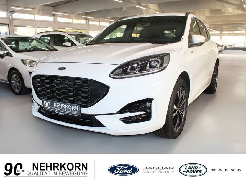 Kuga