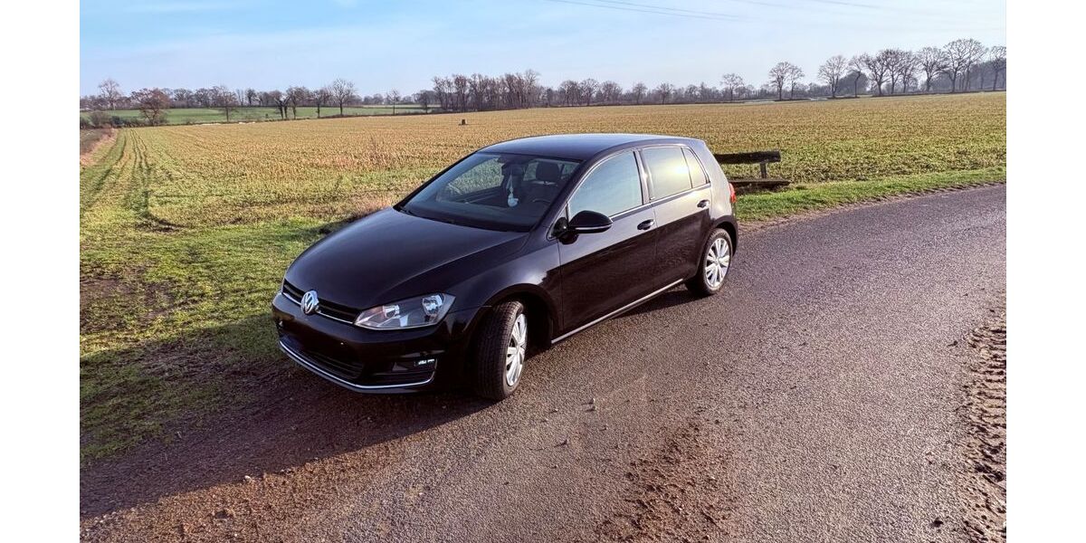VW Golf 139.800 km 9.990 &euro; Linden 25791