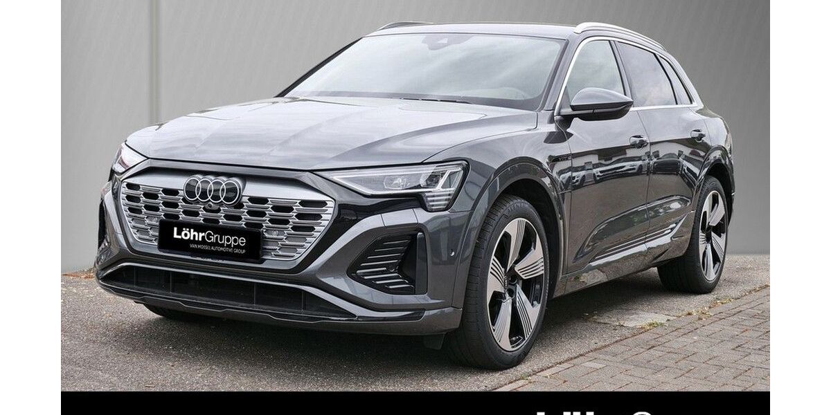 Audi Q8 e-tron 80.050 km 46.990 &euro; Worms 67547