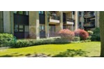 Nähe StadtparkKlinikum GT: Hochparterre mit Tiefgaragenstellplatz - bezugsfrei - für Käufer provisionsfrei - 2- Gütersloh Kattenstroth | Angebot:26992790