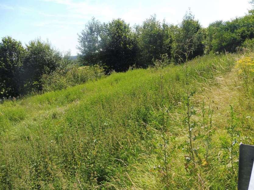 Grundstück zu verkaufen in Hillesheim 74.000 € 952 m²