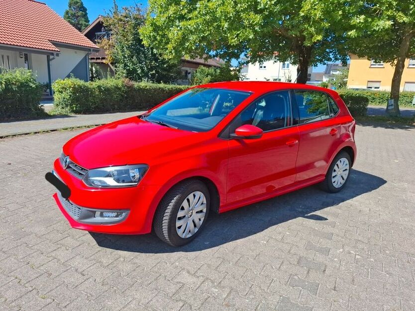 Polo