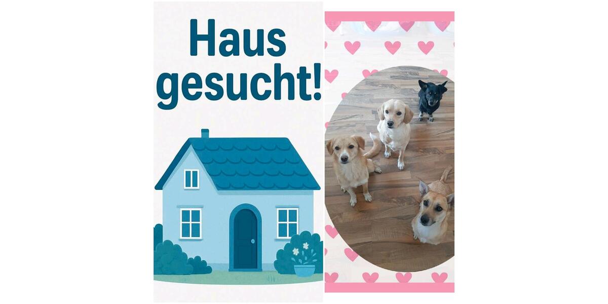 Einfamilienhaus Harsewinkel - 3 Zimmer, 90 m&sup2;, 1.400&euro; | Angebot:26065148