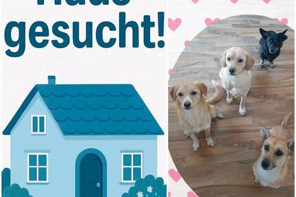 Haus Harsewinkel - 3 Zimmer, 90 m&sup2;, 1.400&euro; | Angebot:26065148