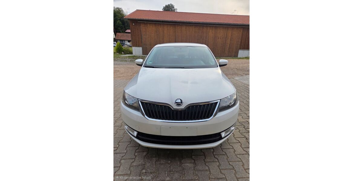 Skoda Rapid 96.000 km 9.000 &euro; Brennberg 93179