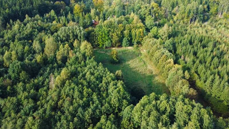 Bauernhaus, Landhaus Neustadt Berthelsdorf - 5 Zimmer, 150 m&sup2;, 485.000&euro; | Angebot:25770653