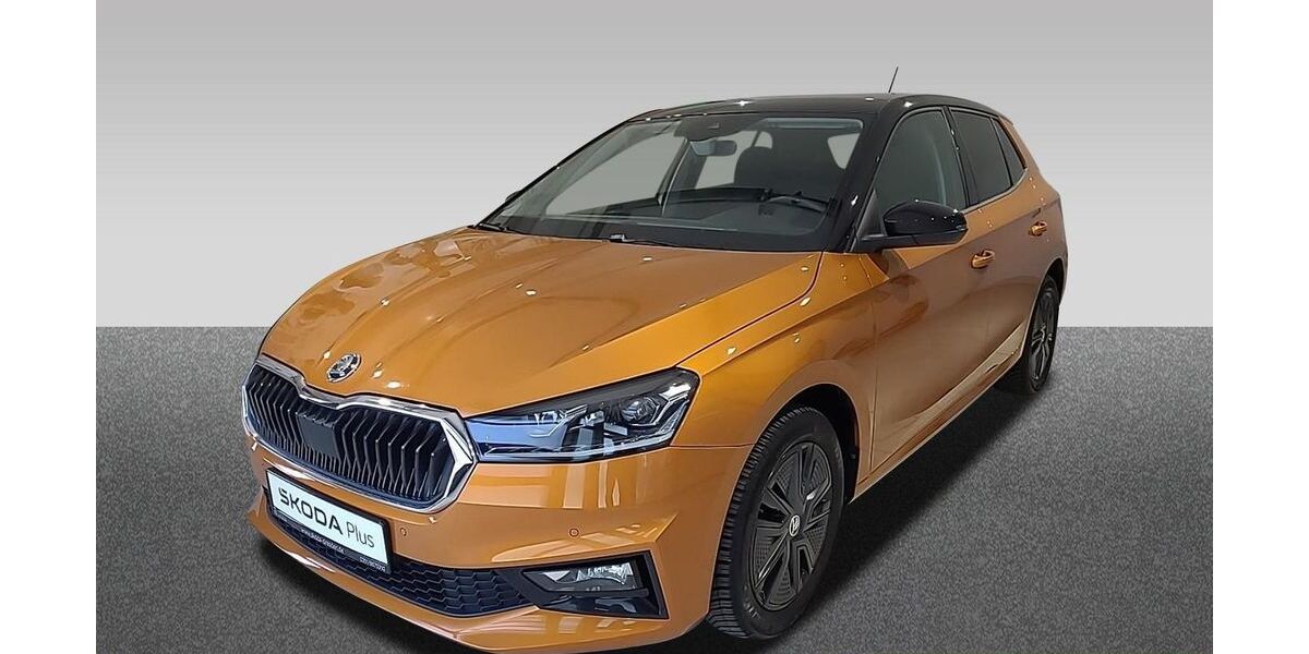 Skoda Fabia 33.797 km 18.490 &euro; Dresden 01067