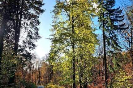 Freizeitgrundstück mit kleinem Gebäude und Gartenhaus in Tiefenbach zimmer