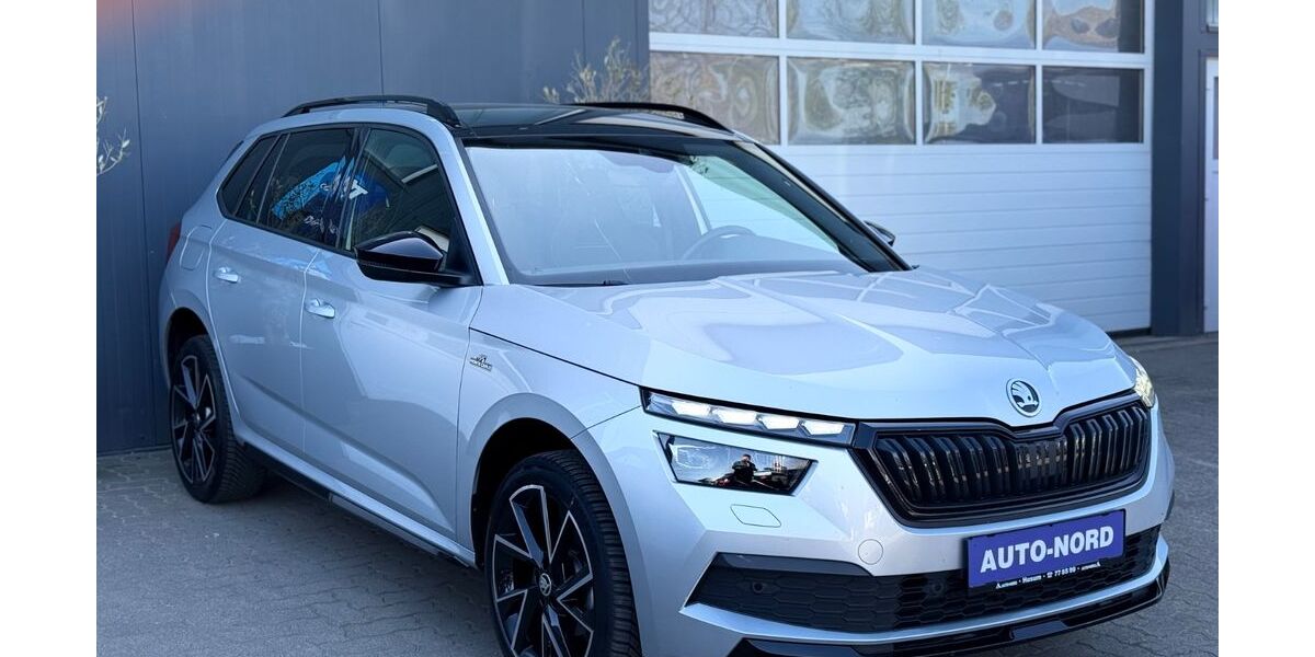 Skoda Kamiq 60.833 km 19.990 &euro; Husum 25813