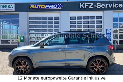 Seat Ateca 127.500 km 21.990 &euro; Schleswig 24837