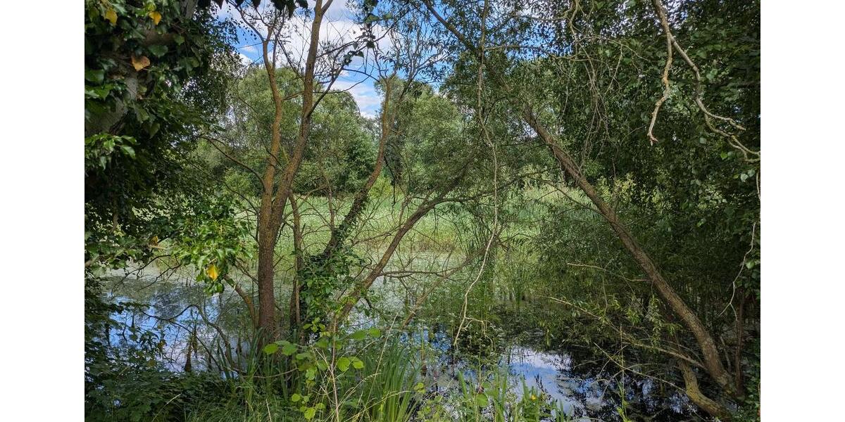 Einfamilienhaus Calvörde - 217.600&euro; | Angebot:16590603