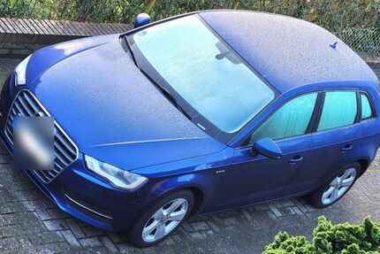 Audi A3 212.791 km 7.400 &euro; Bienenbüttel 29553