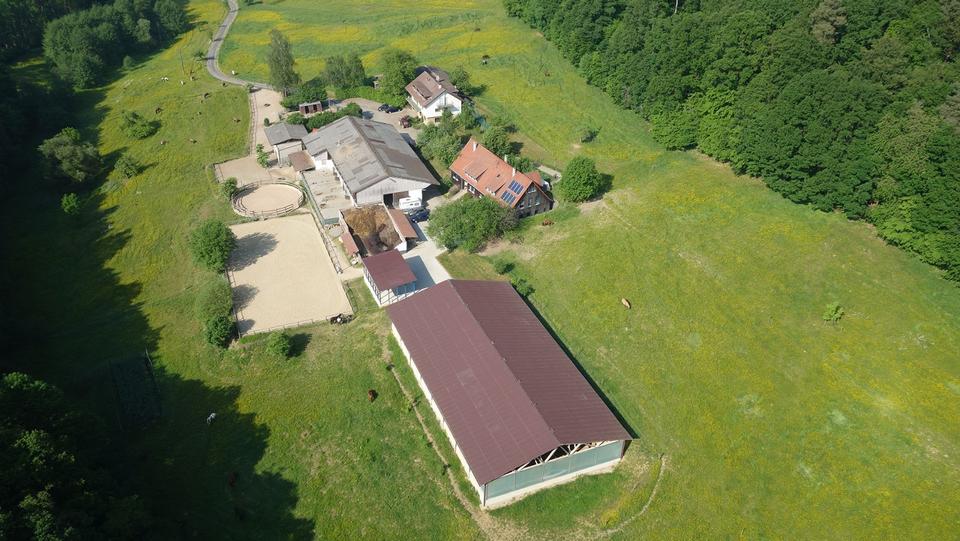 Reitanlage Pferdehof mit Gutachten provisionsfrei zimmer